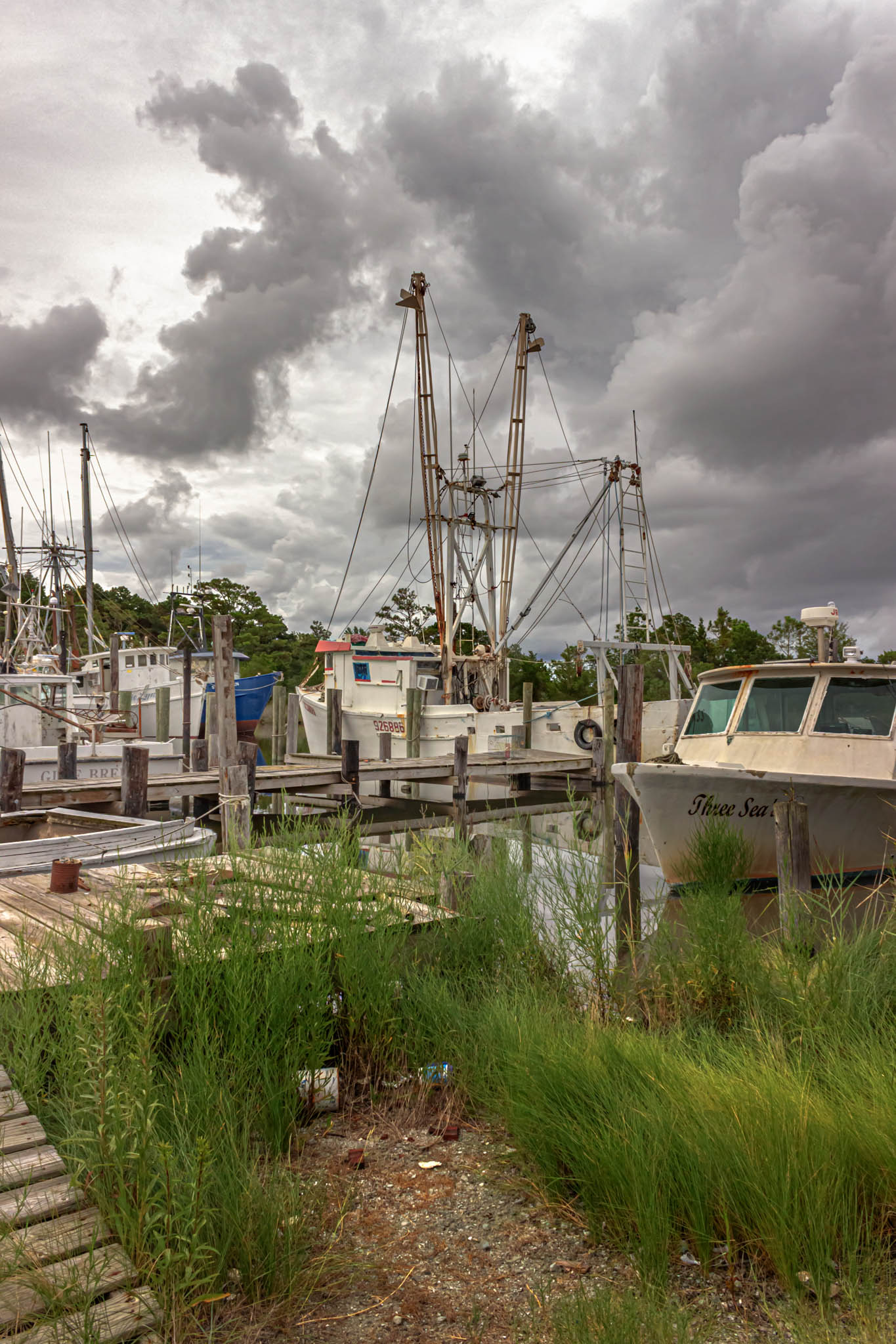 Unveiling the Maritime Heritage: Shrimp and Crab Boats of Swan Quarter, NC