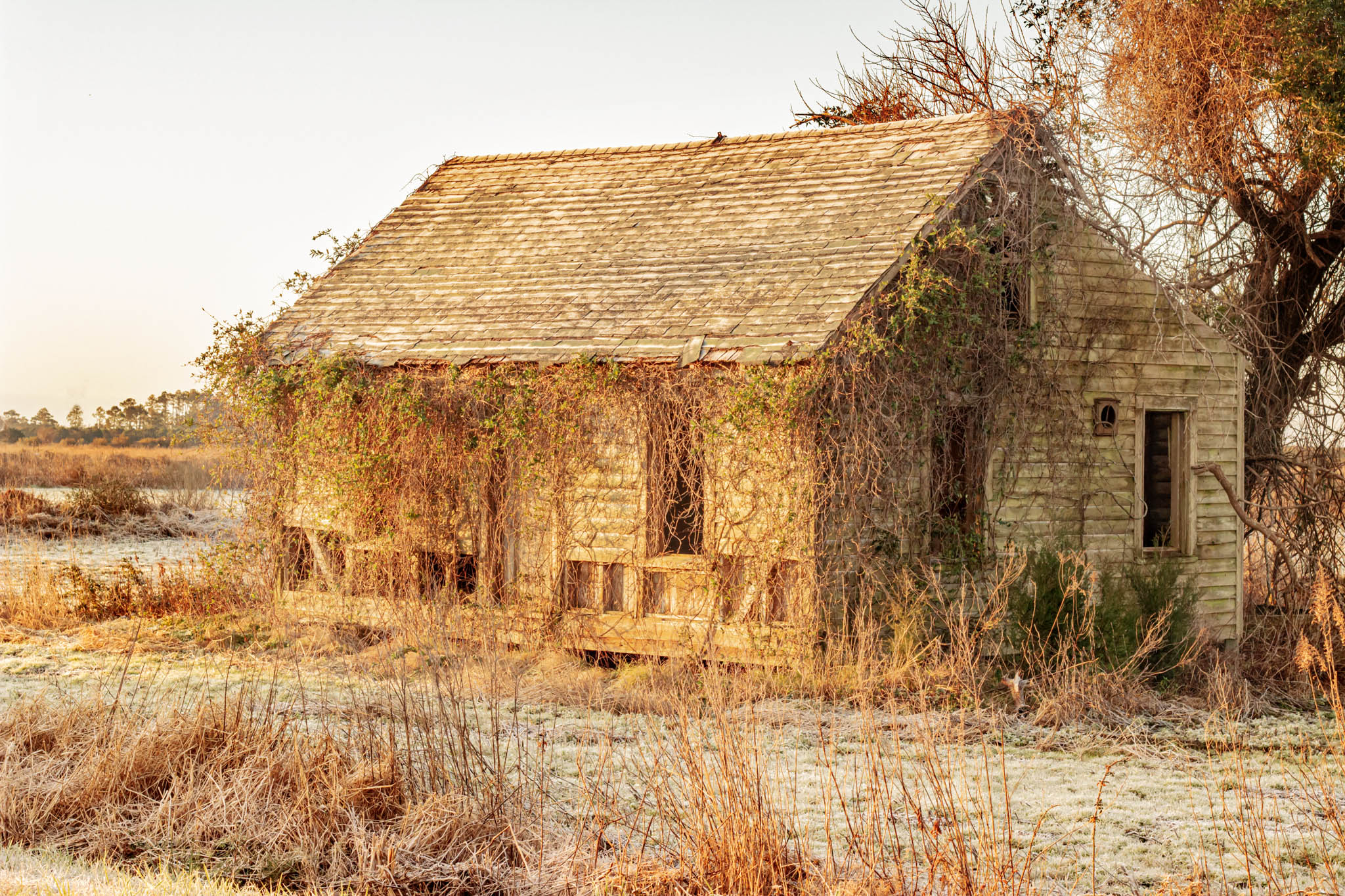 Winter’s Embrace: An Abandoned House Near Engelhard